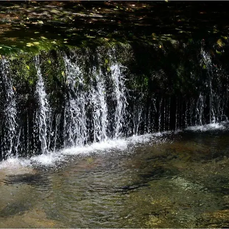 La Casa De Cela 펜션 Cela (Asturias)
